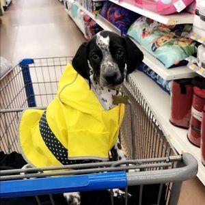 Dog Raincoat